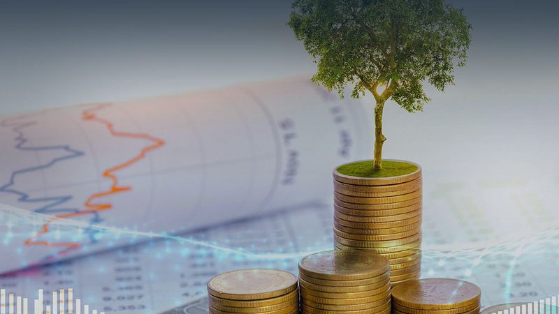 环境管理体系咨询师培训课程：提升企业绿色竞争力的关键