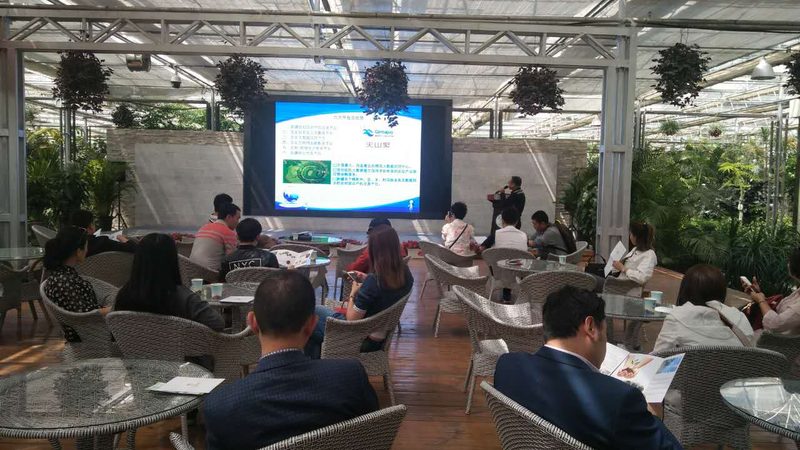 商业可行性研究报告分类：如何精准定位您的需求